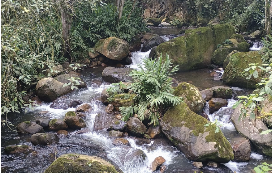 La geopolítica actual y sus impactos en biodiversidad